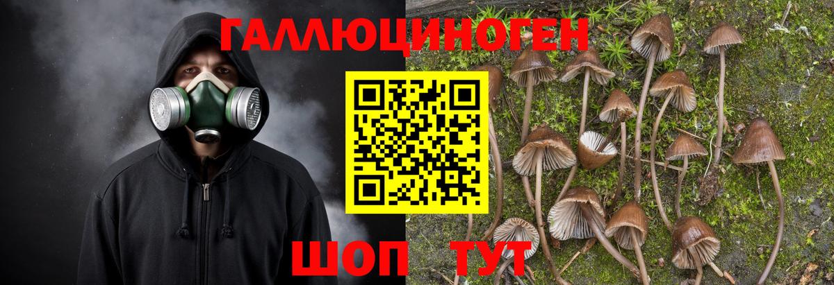 Чистополь  где купить наркоту  Вход с VPN  Галлюциногенные грибы Psilocybe 